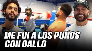 ME FUI A LOS PUÑOS CON GALLO Y LO NOQUIE !