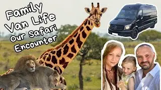 Epic Santa Polo Safari and Zoo Sleepover - van&nbsp;life&nbsp;Spain
