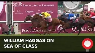 William Haggas on Sea Of Class