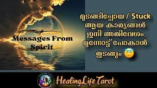 മുടങ്ങിക്കിടന്ന/ Stuck ആയ കാര്യങ്ങൾ ഇനി അതിവേഗം മുന്നോട്ട് പോകും🦋🧿 #guidancemessages #dailytarot 