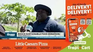 BDOCS Sustainable Food Donation