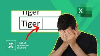 How To Remove Spaces in Excel (When TRIM Doesn&rsquo;t Work!)