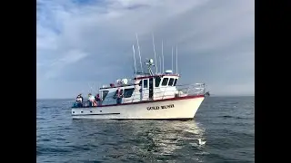 Tuna fishing Westport WA 9/19/2025