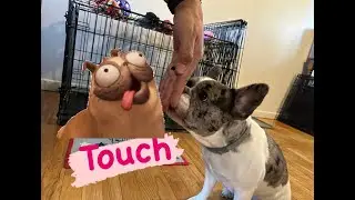 Target training series Part 1