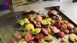 Passion Fruit Juice Extractor Machine | Automatic Pulp and Peel Separator