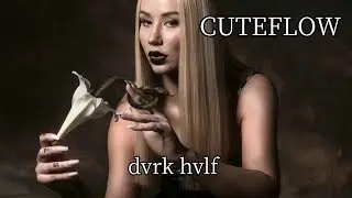 CUTEFLOW &mdash; QVADRA66 | DSWL