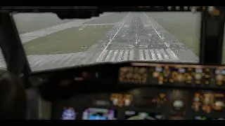 X-Plane 12 Hurricane Lala LevelUp B737-800 United 4444 HILO INTL-LIHUE  PHTO-PHLI
