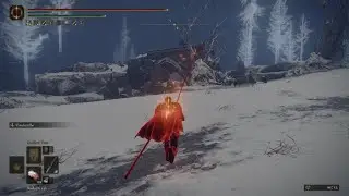 ELDEN RING parry is a good option vs shield poke