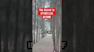 THE SECRET TO EFFORTLESS ACTION! WHAT IS &ldquo;WU-WEI&rdquo;?