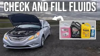 Как проверить и залить жидкости [ПОЛНОЕ РУКОВОДСТВО] - Hyundai Sonata (2011-2014)