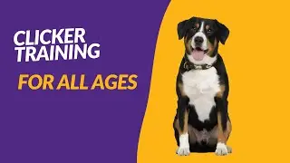 CLICKER TRAINING FOR ALL AGES
