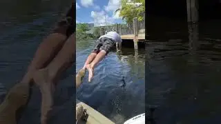 We Don't Let The Big Ones Get Away