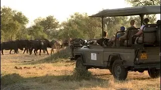 Safe Countries To Visit In Africa - Travel video