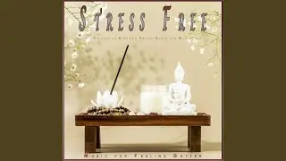 Pure Stress Relief