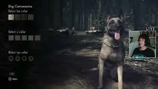 (LIVE) cozy forest game 😊🌲 | blair witch