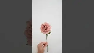 DIY paper dahlia (learn how to make them) #paperflower #paperart #diy