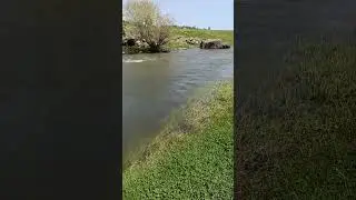 Erciş balık bendi