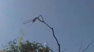 Hj o pedal foi só aventura 😁