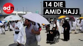 14 Hajj Pilgrims Die From Heatstroke in Sweltering Saudi Temperatures