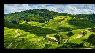 BALI LOUNGE - Samba Sunda Instrumental Relaxation
