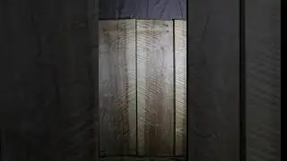 Black poplar cello back
