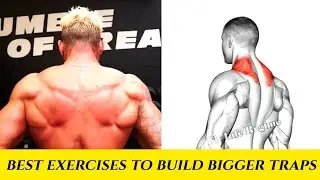 BEST EXERCISES TO BUILD BIGGER TRAPS