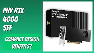 REVIEW (2025): PNY RTX 4000 SFF. Features.
