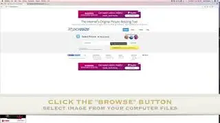 Email Signature Resizing