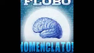 17.Flobo- On in session 2&nbsp;cu Grigo