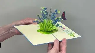 Popcards.nl - Ster Hyacint met blauwe bloemen en vlinder pop-up kaart wenskaart