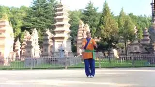 Shaolin Tong Bei Quan