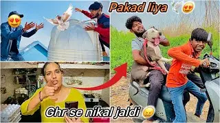 Dost ka Tounament wala Kabutar pakd liya 😍 || Mummy se ladai hogyi 😤