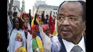 Manifestation de la Diaspora Camerounaise en Allemagne contre ELECAM et VERIDO