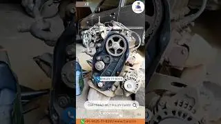 Timing belt replacement of Volkswagon polo,vento,ameo, Skoda Fabia, Rapid #cars #timingbelt #suzuki