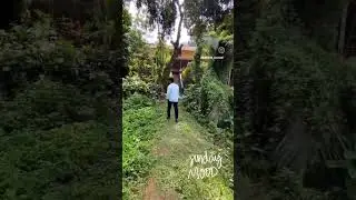 Walk with Nature                                         #travel #vacation #travelvlog #southcanara
