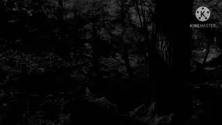 Sub Urban - Isolate - Lyrics