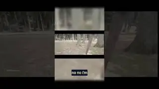 Bear in my way? Nah, I need a TIRE!  #survival #gaming #funny  #zombie