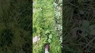 😱😱😱😱 #techkishan #viralvideo #technicalkishan #hindi #kishan