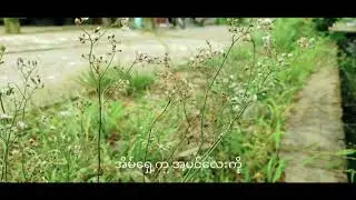 Amazing RedMi K30 Camera test