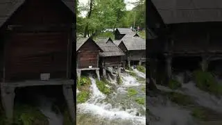 Relaxing Waterfall and Bird Sounds & Peaceful Nature Ambience