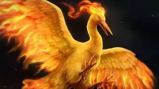 Pokemon: Moltres Legendary Evolution Life Form [1996]