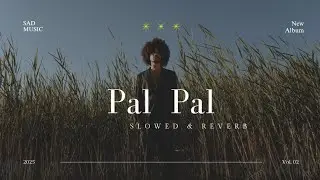 Pal Pal (Slowed + Reverb) | Talha Anjum & Afusic | Producedby Ali Soomro | DB LOFI 