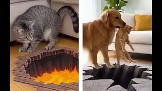 Забавные кошки приходят в ужас от ковров с оптическими иллюзиями! 😹🐾 | 😂 Подборка смешных реакций...