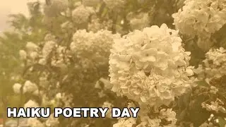 Haiku Poetry Day