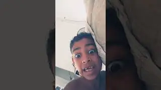 ltesta