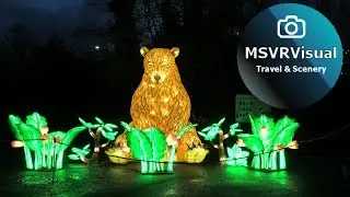 China Light Festival at Cologne Zoo in 4K