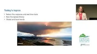 17 Tara Strand