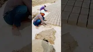 #construction #shortvideo #brickmaking #brick #satisfying #brickmanufacturing #beefmeat