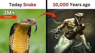Top 10 dangerous Animals that are now extinct | 7 Most Dangerous Animals that are EXTINCT