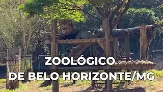 VISITA AO ZOOLÓGICO DE BELO HORIZONTE/MG